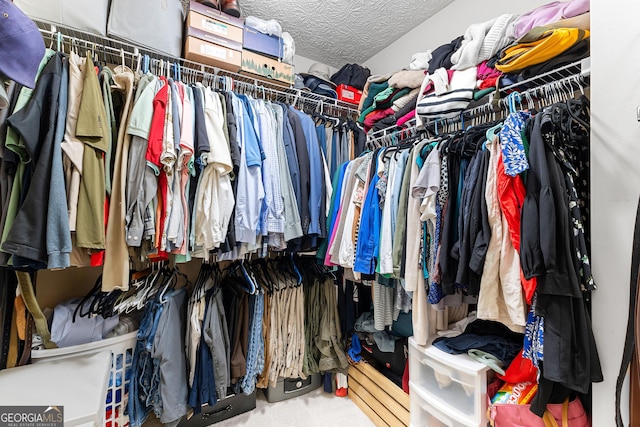 view of spacious closet