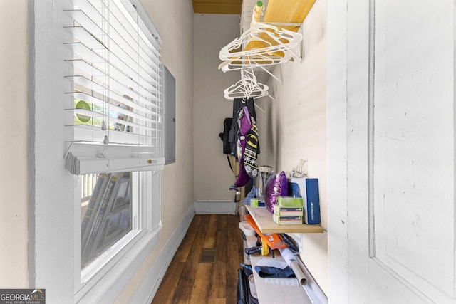 spacious closet featuring wood finished floors and visible vents