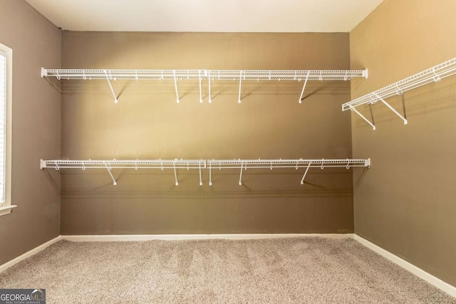 100 Hickory Dr, Stockbridge, GA 30281 - spacious closet featuring carpet flooring