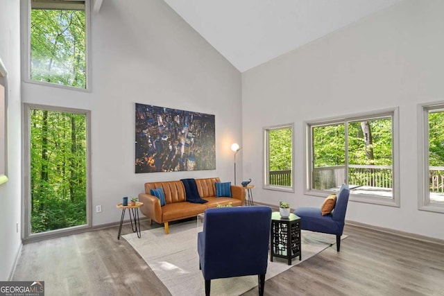 living area featuring baseboards, wood finished floors, and high vaulted ceiling