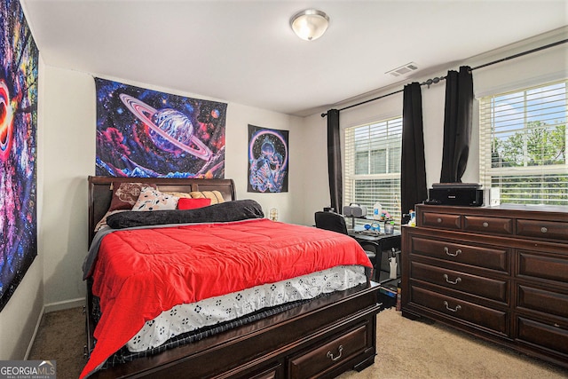 129 Coldwater Way, Griffin, GA 30224 - bedroom featuring baseboards, multiple windows, and light colored carpet
