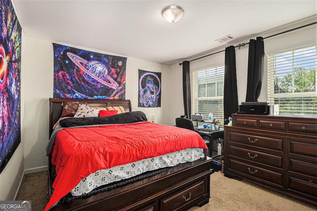 129 Coldwater Way, Griffin, GA 30224 - bedroom with light carpet and multiple windows