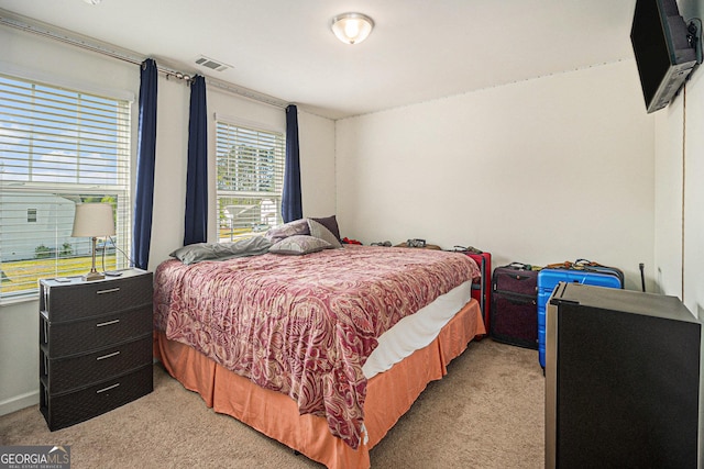 129 Coldwater Way, Griffin, GA 30224 - bedroom featuring light carpet