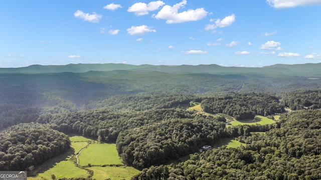 view of mountain feature with a view of trees