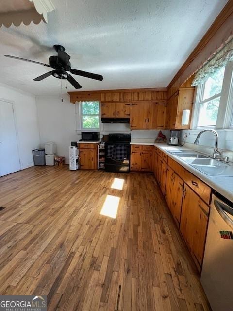 7650 Neese Commerce Rd, Hull, GA 30646 - kitchen featuring range, dishwasher, a sink, light countertops, and light wood finished floors
