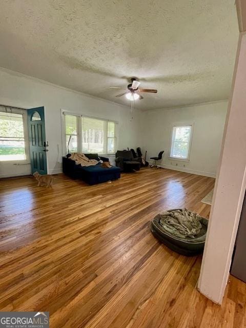 7650 Neese Commerce Rd, Hull, GA 30646 - living area featuring plenty of natural light, light wood finished floors, a ceiling fan, a textured ceiling, and baseboards