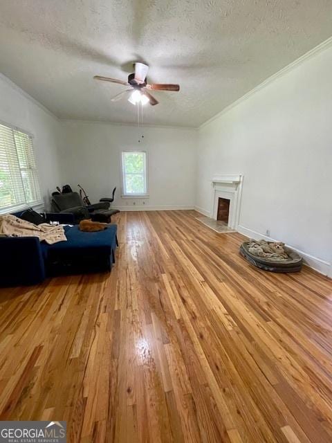 7650 Neese Commerce Rd, Hull, GA 30646 - living room featuring light wood-style floors, a textured ceiling, a ceiling fan, ornamental molding, and a fireplace with flush hearth