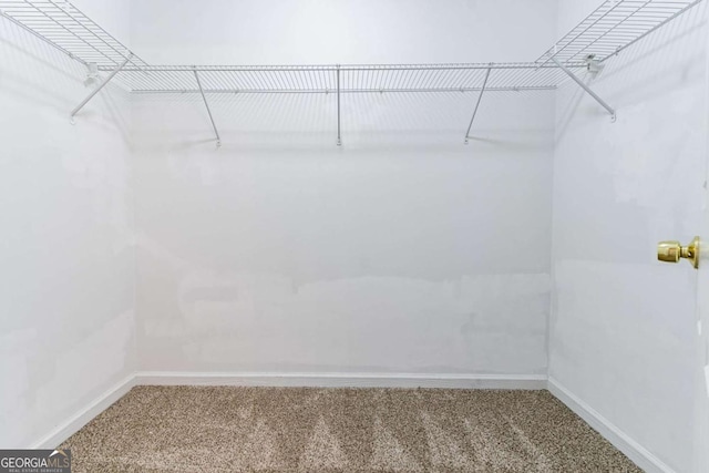 805 Old Rocky Rd, Atlanta, GA 30349 - spacious closet with carpet flooring