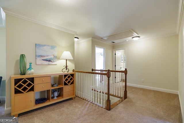 hallway featuring crown molding, light carpet, and attic access