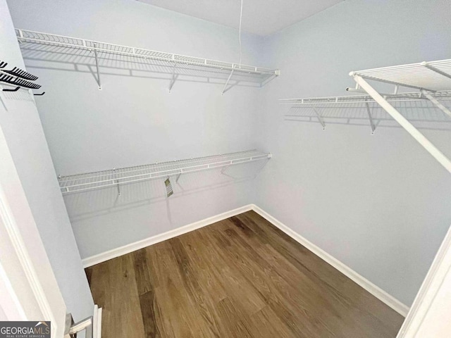 walk in closet with dark wood-style flooring