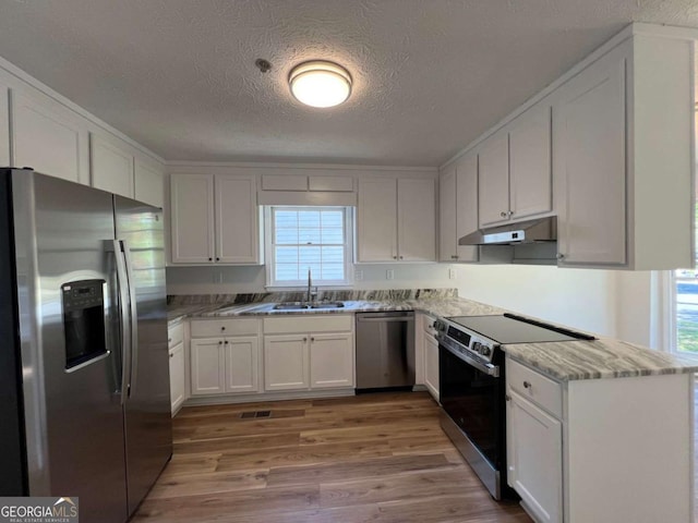 kitchen featuring plenty of natural light, under cabinet range hood, stainless steel appliances, and a sink