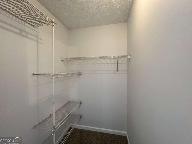 3861 Spring Meadow Dr, Acworth, GA 30101 - view of spacious closet