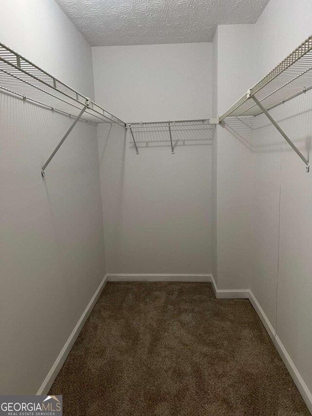 3861 Spring Meadow Dr, Acworth, GA 30101 - walk in closet with carpet