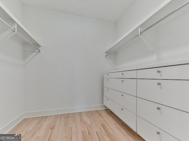 spacious closet with light wood-type flooring