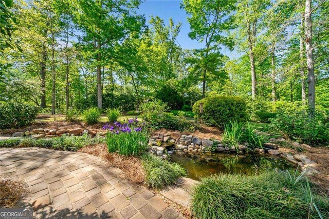 204 Overland Trl, Mcdonough, GA 30252 - view of yard