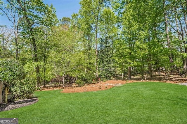 5251 Amberbrook Ct, Marietta, GA 30068 - view of yard