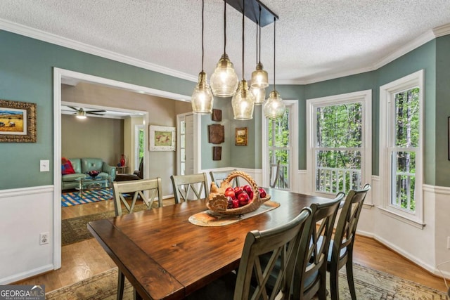 5876 Bridgemont Pl NW, Acworth, GA 30101 - dining room with plenty of natural light, wood finished floors, and a textured ceiling