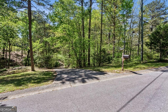 5876 Bridgemont Pl NW, Acworth, GA 30101 - view of road