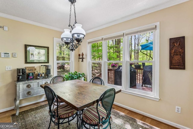 5876 Bridgemont Pl NW, Acworth, GA 30101 - dining space featuring an inviting chandelier, ornamental molding, wood finished floors, and baseboards