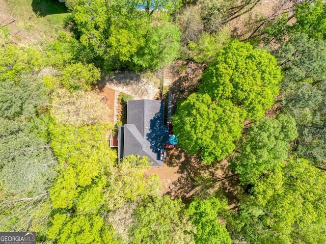 5876 Bridgemont Pl NW, Acworth, GA 30101 - birds eye view of property