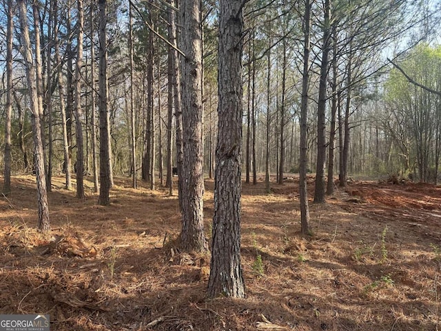 1451 Cook Rd, Oxford, GA 30054