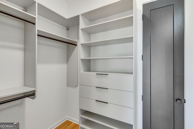 631 Bent Grass, Clayton, GA 30525 - walk in closet with light wood-style floors