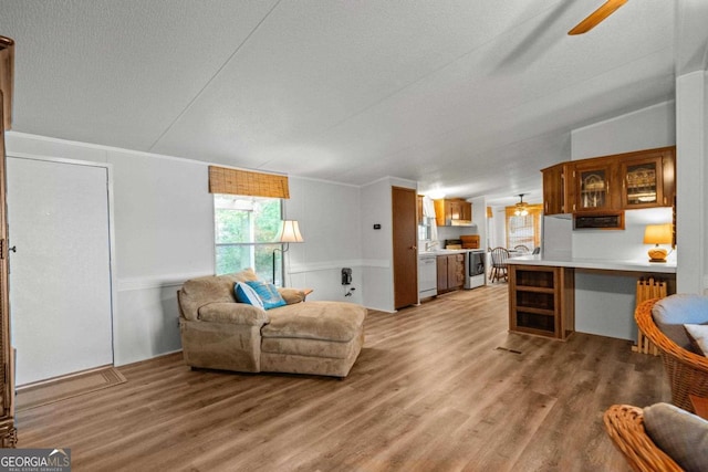 82 Dogwood Ct, Sparta, GA 31087 - living area featuring light wood finished floors and ceiling fan