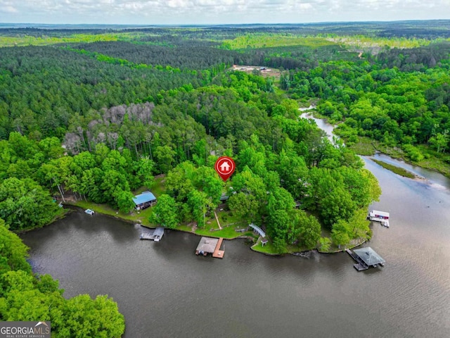 82 Dogwood Ct, Sparta, GA 31087 - bird's eye view with a forest view and a water view