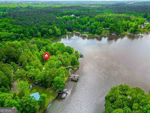82 Dogwood Ct, Sparta, GA 31087 - drone / aerial view featuring a forest view and a water view