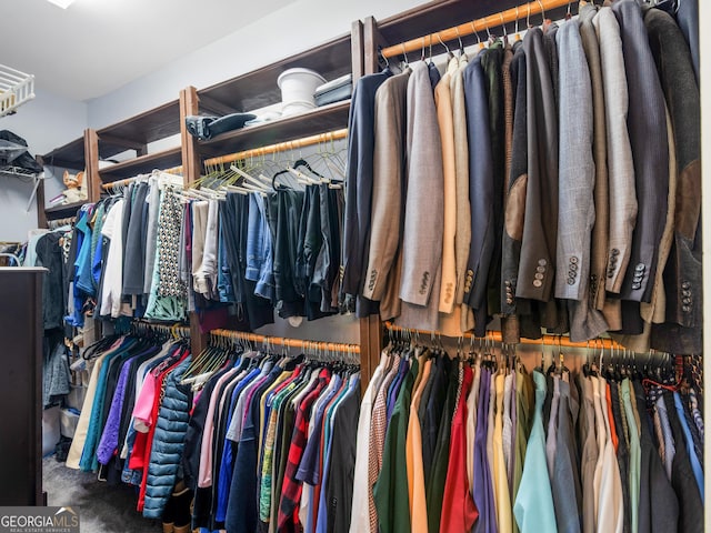 view of walk in closet
