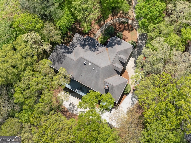 bird's eye view