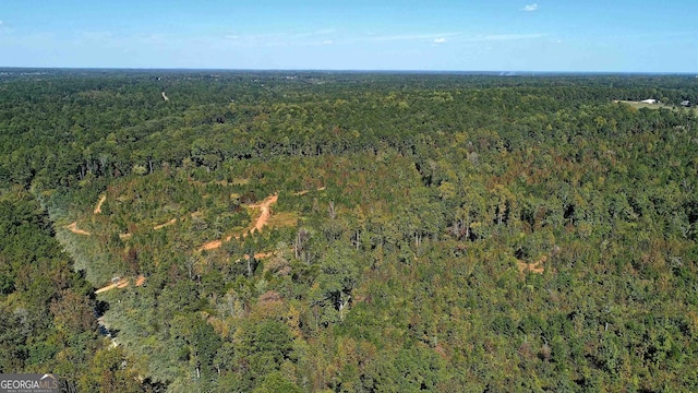 0 Locust Rd, Locust Grove, GA 30248