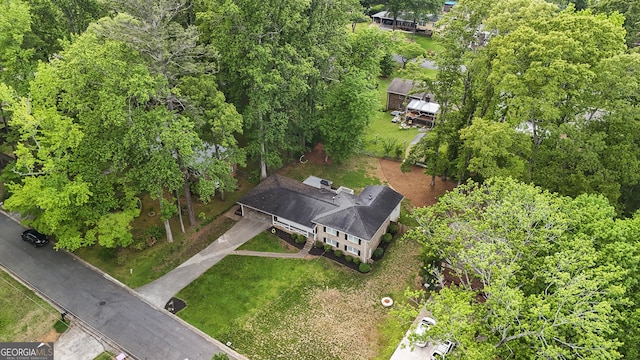 bird's eye view
