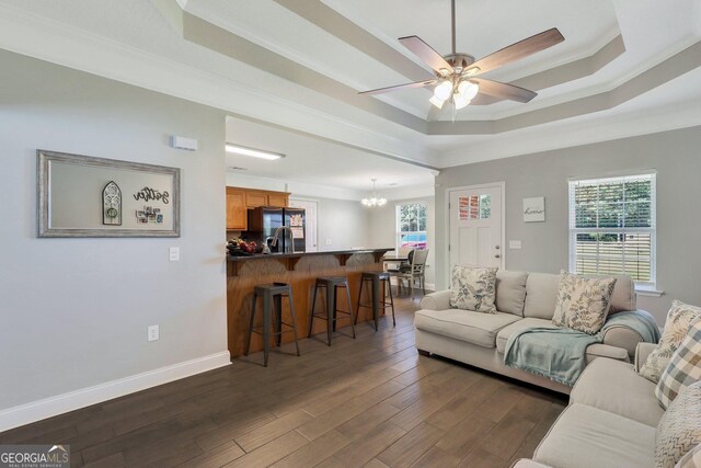 256 Deloach Rd NE, Ludowici, GA 31316 - living area with a tray ceiling, a wealth of natural light, dark wood-style floors, and ornamental molding