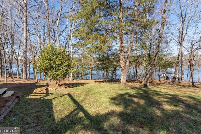 160 Keese Ln, Fair Play, SC 29643 - view of yard