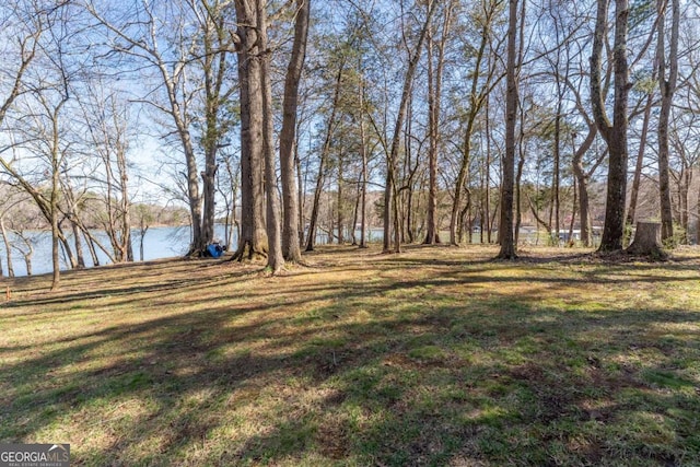 160 Keese Ln, Fair Play, SC 29643 - view of yard with a water view