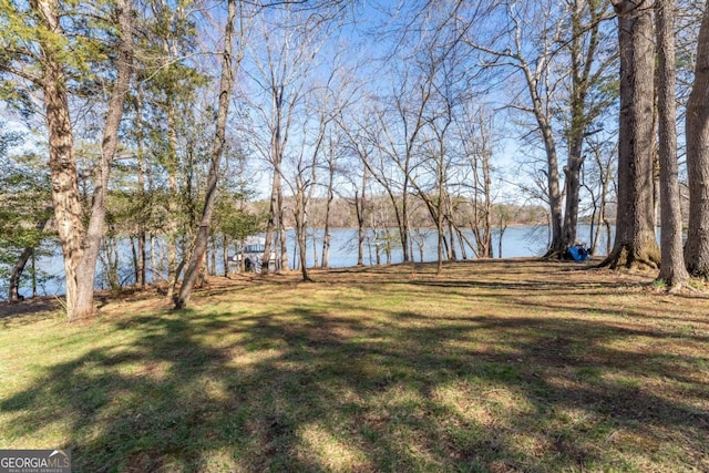 160 Keese Ln, Fair Play, SC 29643 - view of yard with a water view