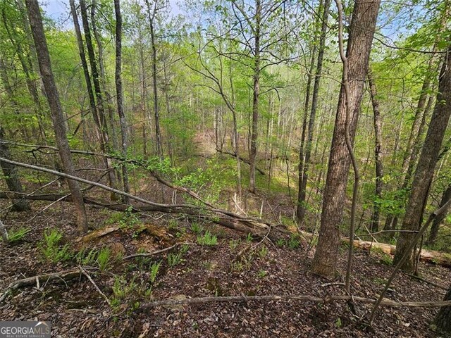 0 Talc Mine, Jasper, GA 30143