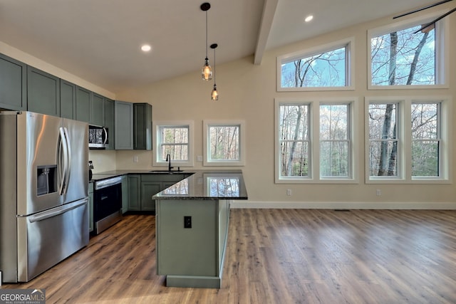 162 Forest Canopy Way, Clayton, GA 30525 - kitchen featuring a sink, wood finished floors, high vaulted ceiling, and stainless steel appliances