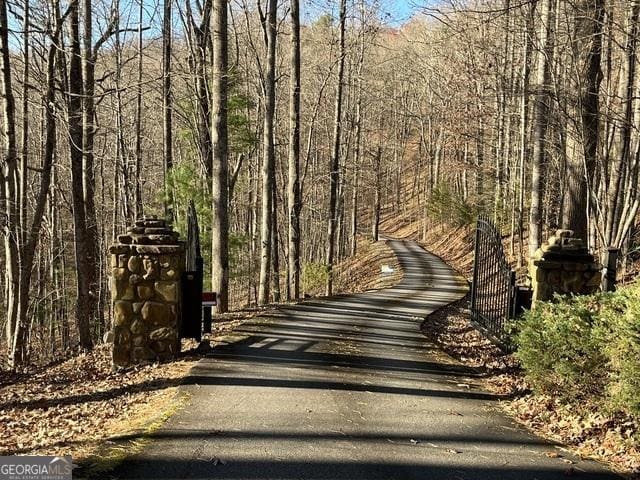 162 Forest Canopy Way, Clayton, GA 30525 - view of street featuring a forest view and a gate