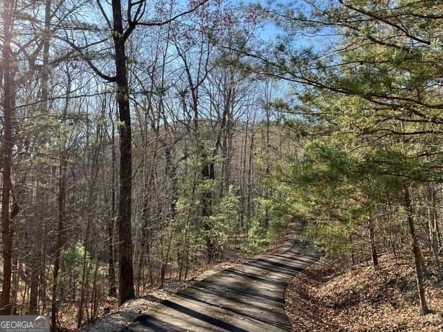 162 Forest Canopy Way, Clayton, GA 30525 - view of street featuring a wooded view
