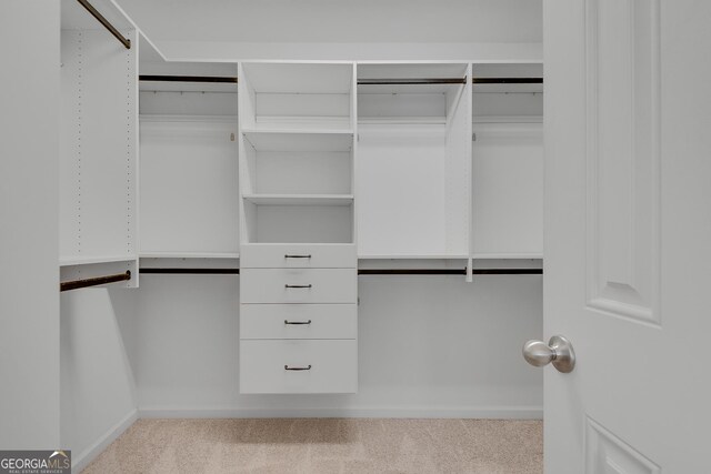 walk in closet with carpet floors