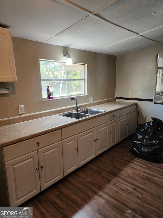 kitchen featuring dark wood-style flooring, a sink, and light countertops