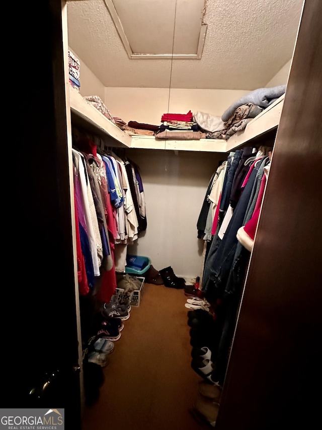 spacious closet with carpet flooring