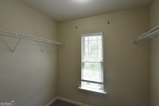 spacious closet with carpet flooring
