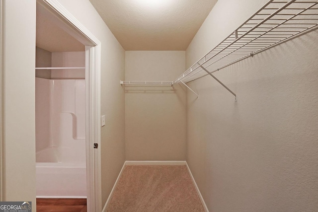 spacious closet with carpet floors