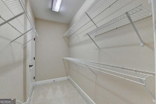 walk in closet featuring carpet floors