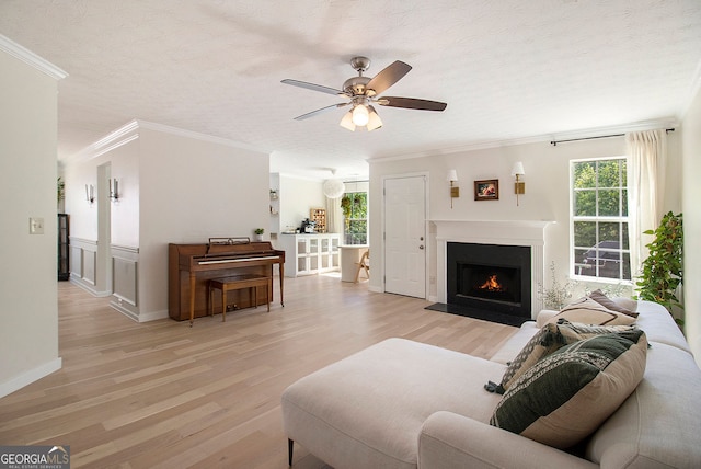 5 Stony Oak Dr, Newnan, GA 30263 - living area with plenty of natural light, light wood-type flooring, ceiling fan, ornamental molding, and a textured ceiling