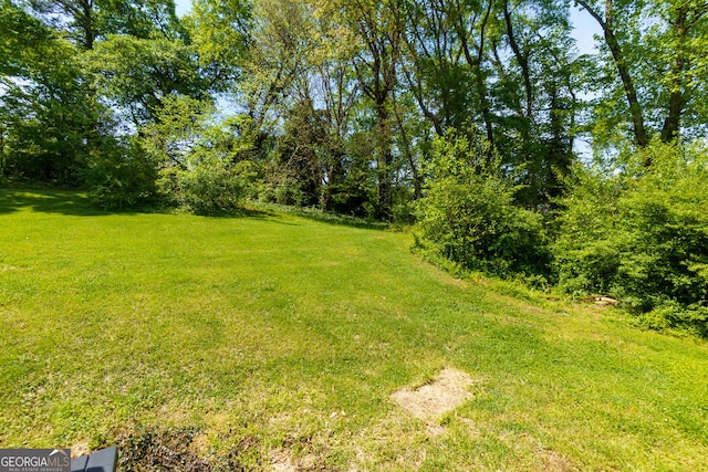 2673 Rainbow Forest Dr, Decatur, GA 30034 - view of yard