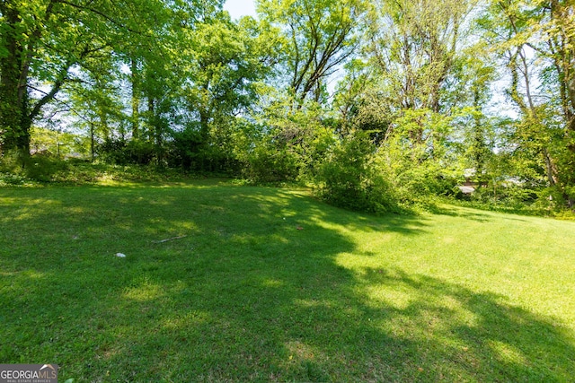 2673 Rainbow Forest Dr, Decatur, GA 30034 - view of yard